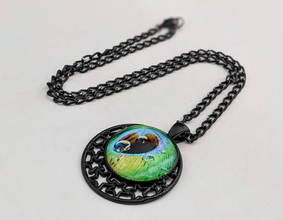 Peacock feather pendant  on black chain