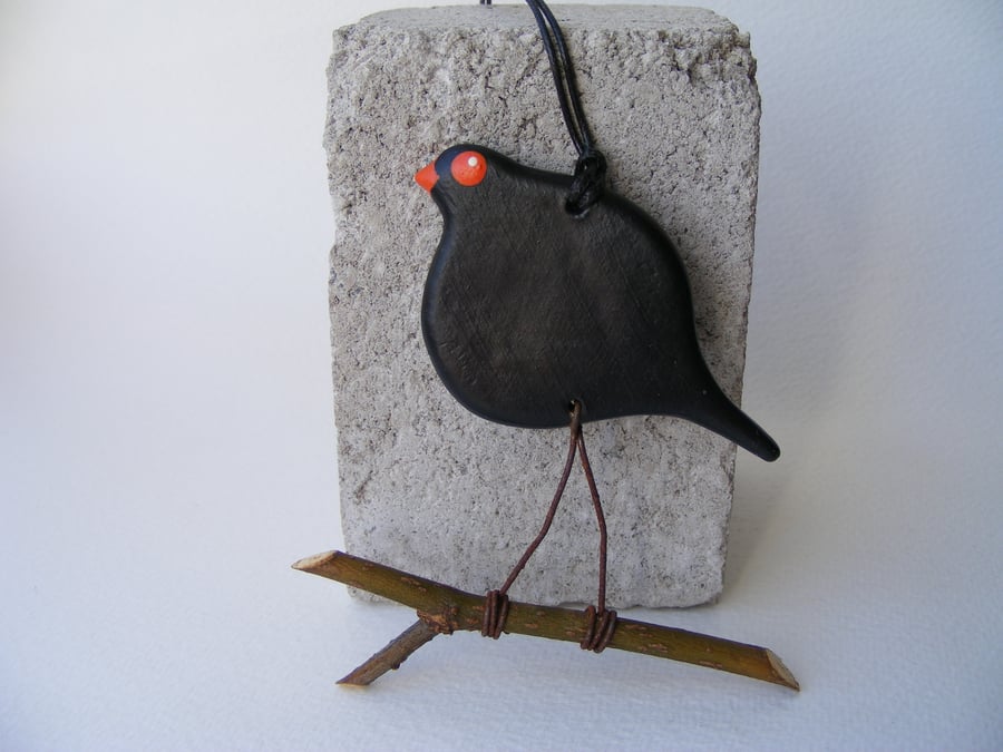 Blackbird on a twig.
