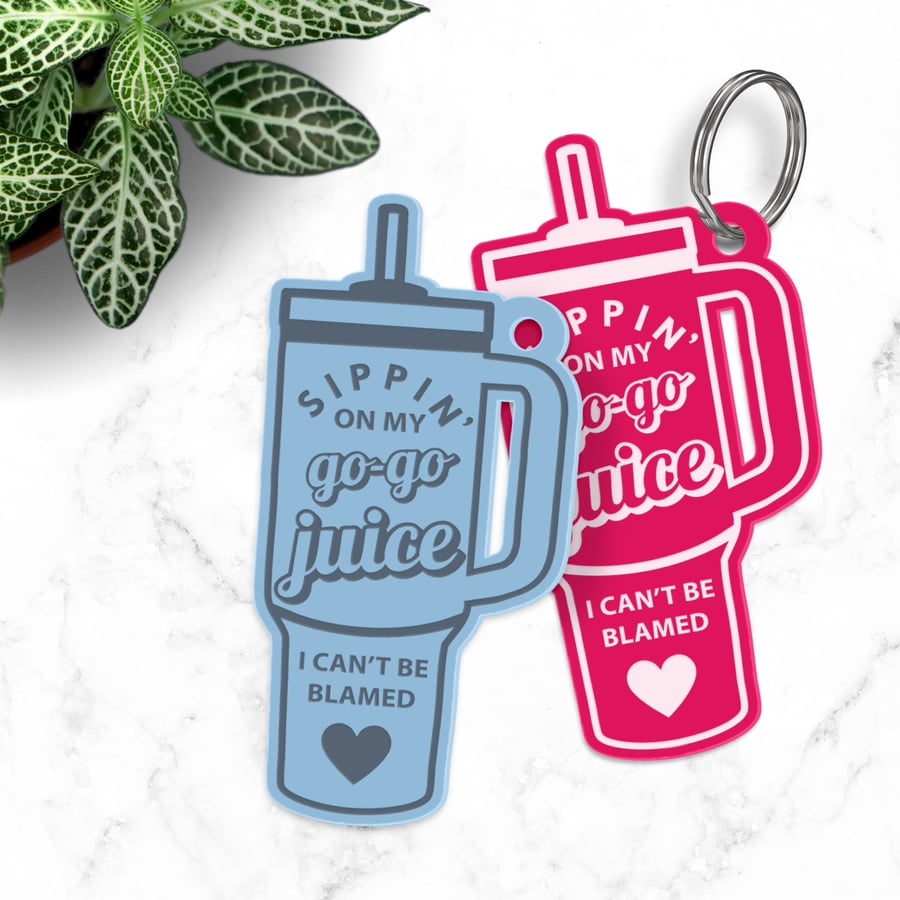 Song Inspired Keyring – Acrylic Bottle Design: Tumbler Keychain, Lyric Gift