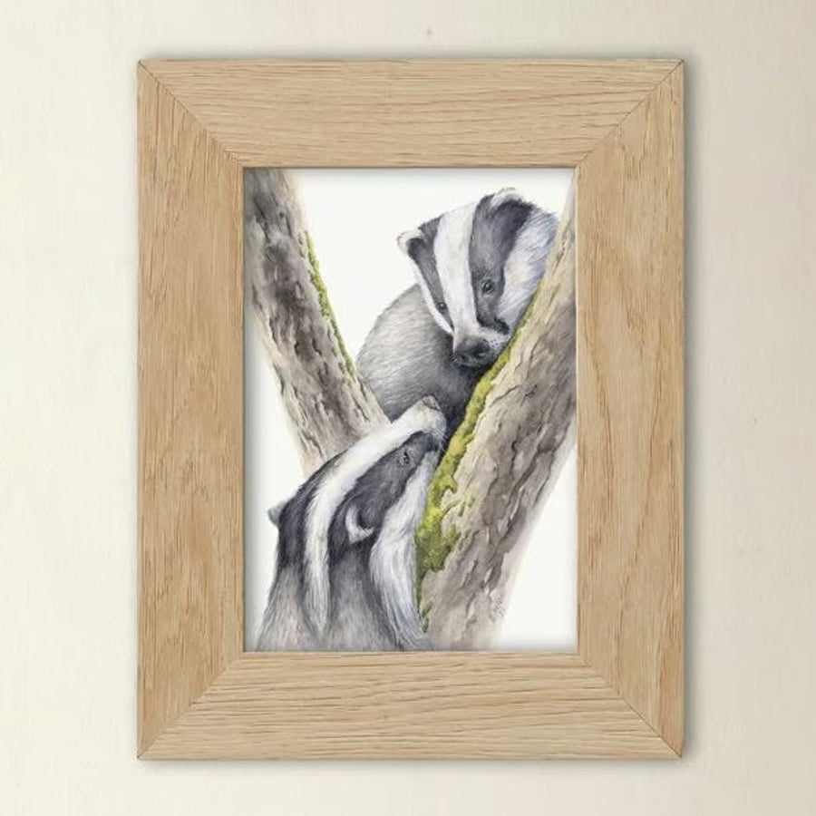 Scottish Badger Art Print - wildlife illustration from original watercolours