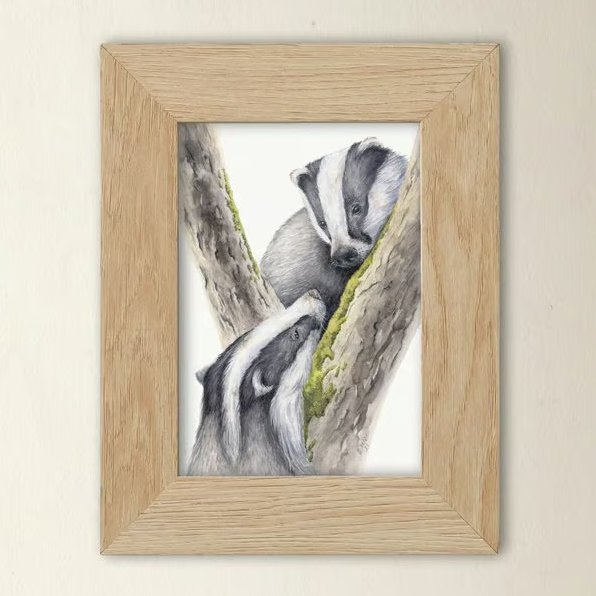 Scottish Badger Art Print - wildlife illustration from original watercolours