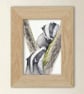 Scottish Badger Art Print - wildlife illustration from original watercolours - Image 1