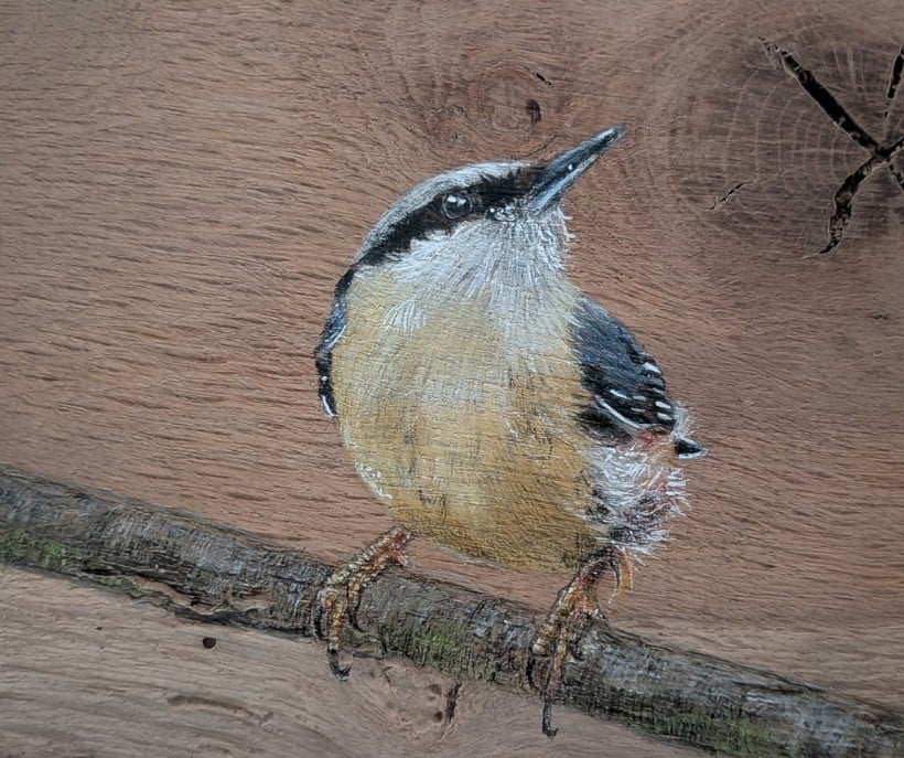 Original Nuthatch Painting on Reclaimed Wood