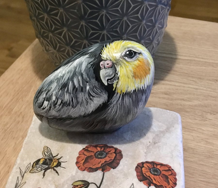 Cockatiel hand painted pebble garden rock bird art pet portrait 