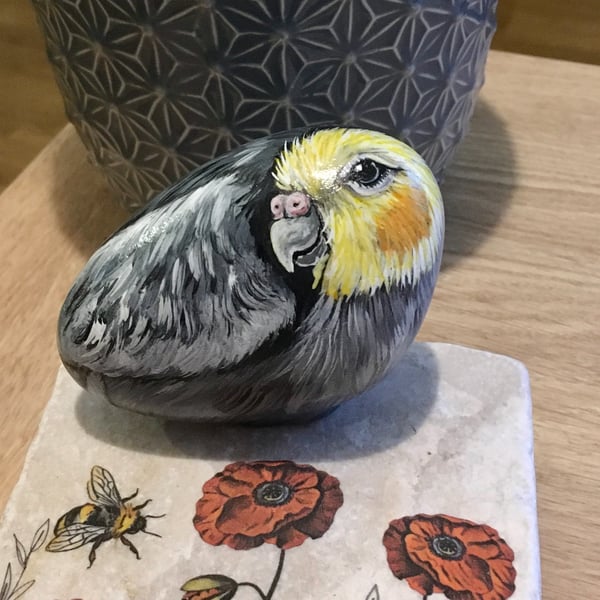 Cockatiel hand painted pebble garden rock bird art pet portrait 