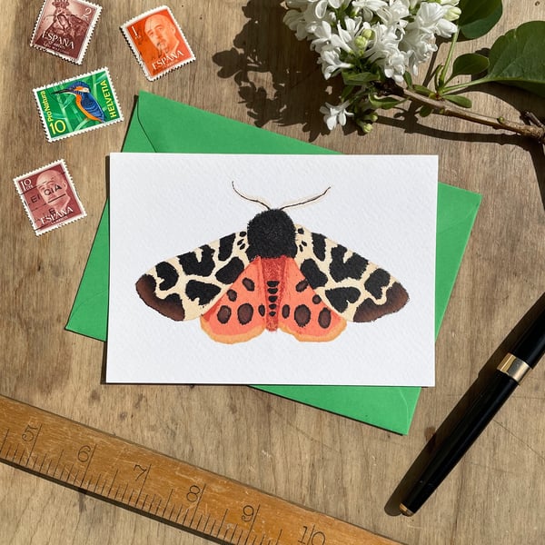 Tiger Moth Greeting Card