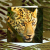 Exclusive Handmade Leopard Jungle Greetings Card on Archive Photo Paper