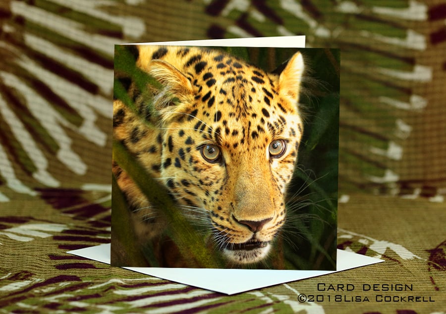 Exclusive Handmade Leopard Jungle Greetings Card on Archive Photo Paper