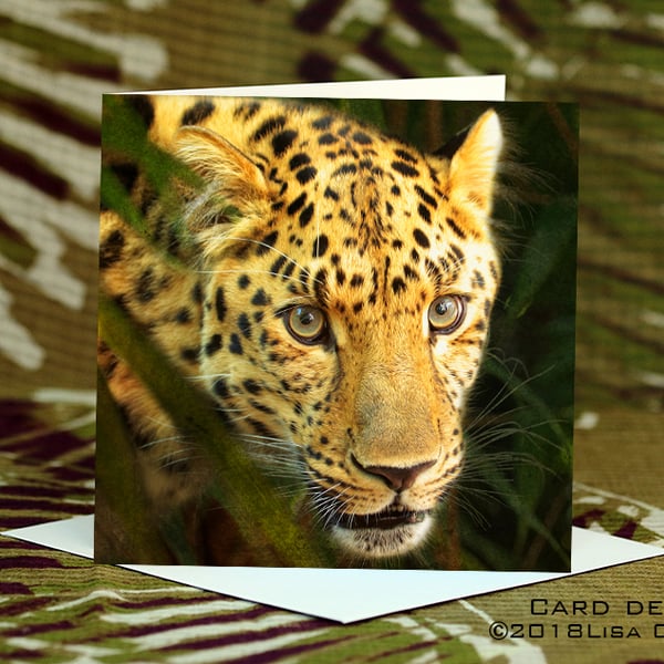 Exclusive Handmade Leopard Jungle Greetings Card on Archive Photo Paper