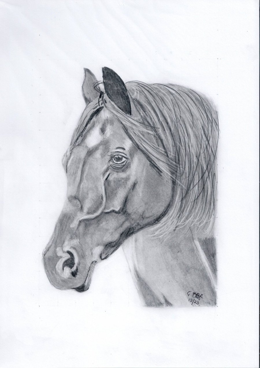 Graphte drawing of a horse head 2