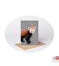 Red Panda Birthday Card, A6 Birthday Card, Cute Animal Birthday Card