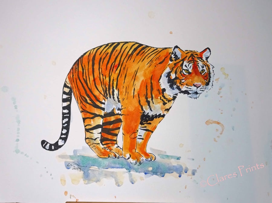 Tiger Pounce Art Original Watercolor Animal Painting Cat