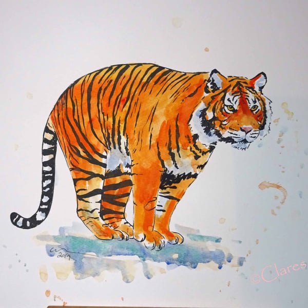 Tiger Pounce Art Original Watercolor Animal Painting Cat
