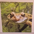 Frog Photo Canvas Print