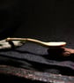 Tulipwood hand carved Serving Spoon - Image 3