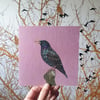 Starling card