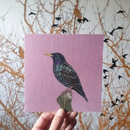 Starling card, bird card, blank greetings card