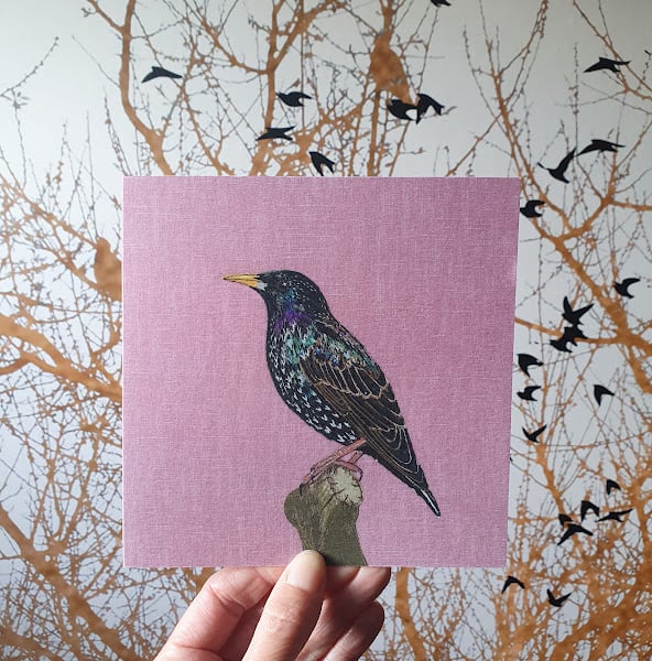 Starling card, bird card, blank greetings card