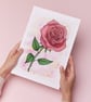Original Watercolour Painting of a Red Rose, A4 Art - Image 7