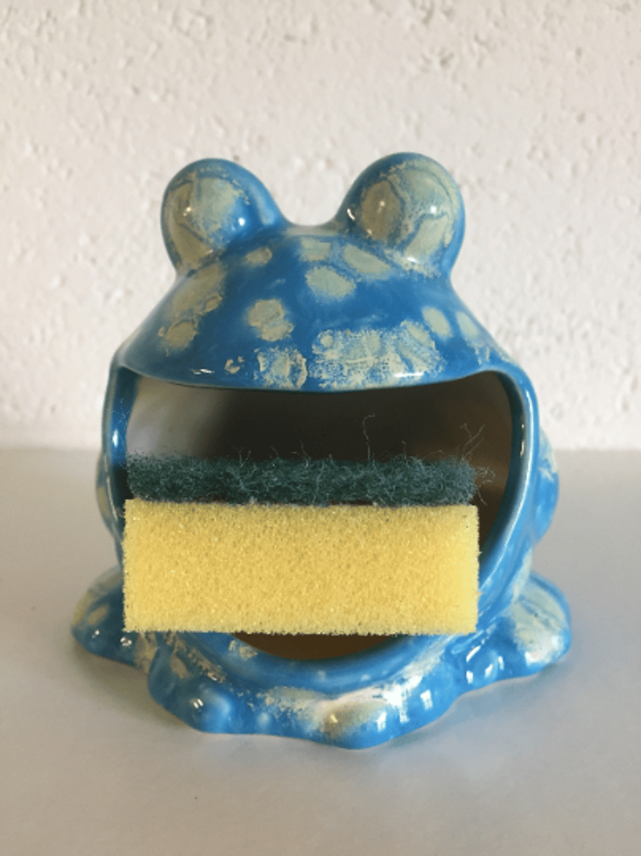 Frog sponge holder, kitchen decor, scrubby holder, soap holder housewarming gift