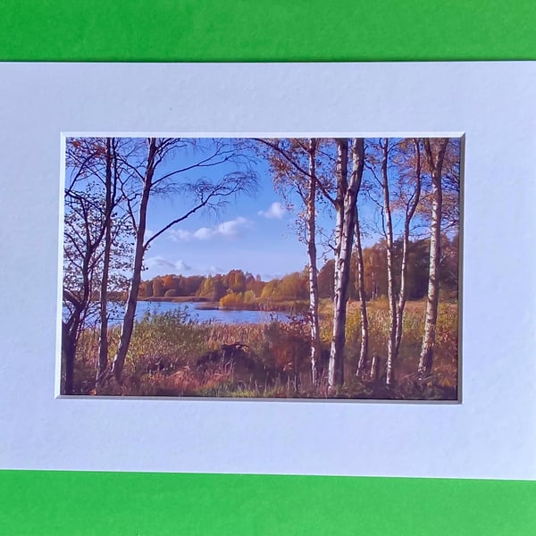 Clumber Park Lake Nottinghm - Photograph with White Mount and Backing Board