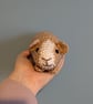 Crochet Guinea Pig, Personalised Pet Teddy, Guinea Pig Gift, Pet Memorial, Pig P - Image 4