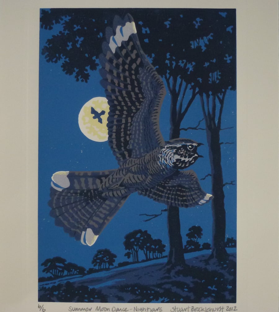 Summer Moondance - Nightjars