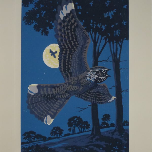 Summer Moondance - Nightjars