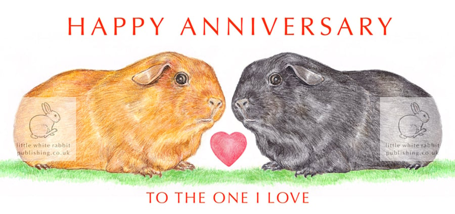 Guinea Pigs Nose to Nose -  Anniversary Card