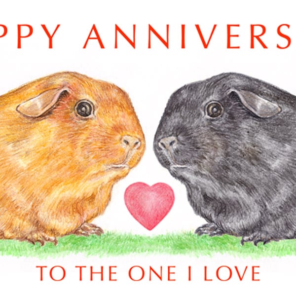 Guinea Pigs Nose to Nose -  Anniversary Card