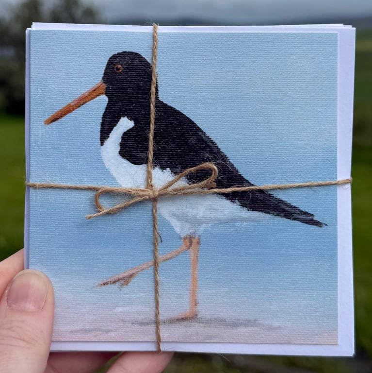Oystercatcher and puffin set of 6 notecards 
