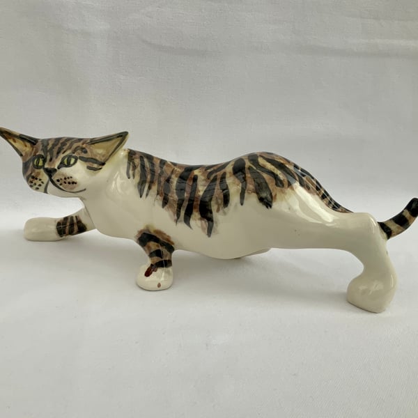 Brown Tabby Stalking Cat