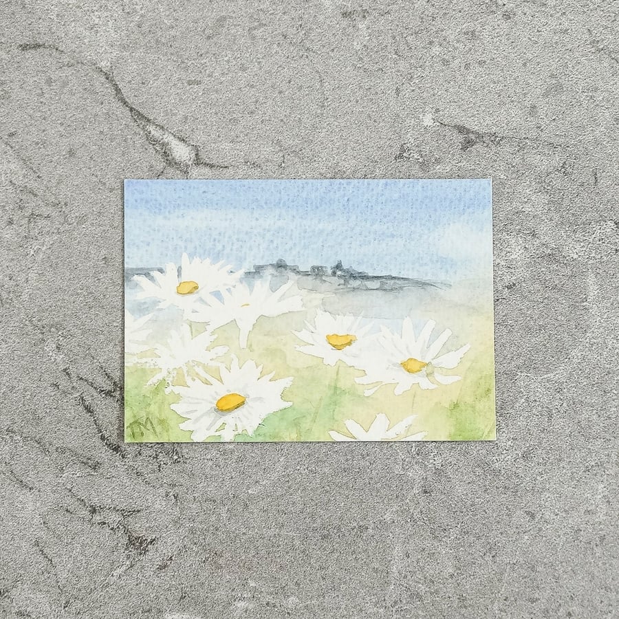 Original Watercolour ACEO Daisies
