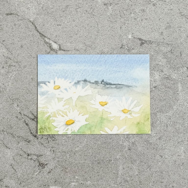 Original Watercolour ACEO Daisies