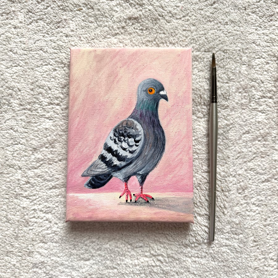 Original Pigeon Canvas Painting - Mixed media Painting - One of a kind