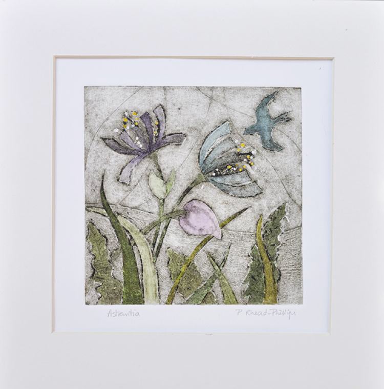 Astrantia - Original Handmade Collagraph.