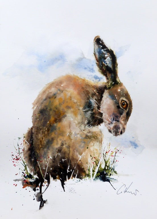 Meadow, Professional Giclée Print.