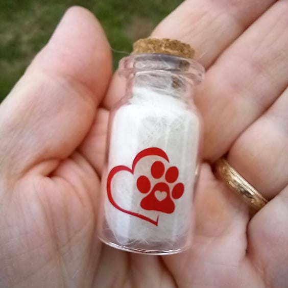 Pet Memorial Jar for Dog Fur, Ashes, Keepsake Small Glass Jar Cork Lid