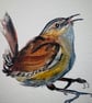 Ginny Wren greetings card - Image 5