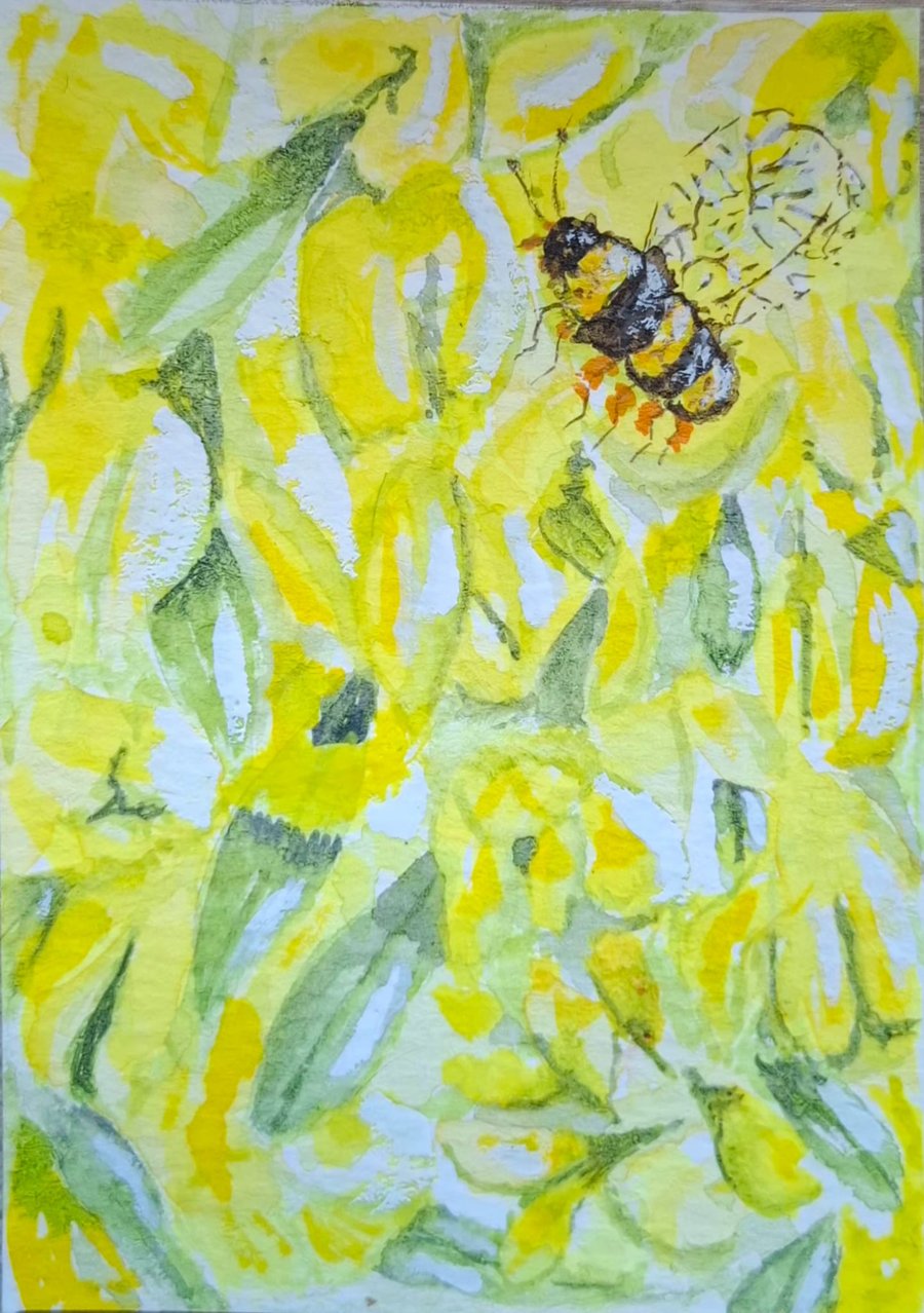 ACEO "Laburnum Bee" original watercolour.