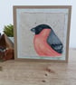 Hand Painted Bullfinch Greetings Card. British Wildlife lovers.