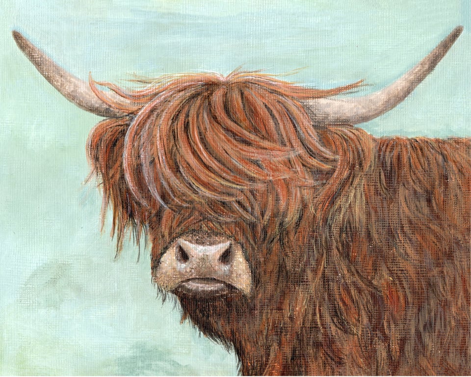 A Highland Cow Print