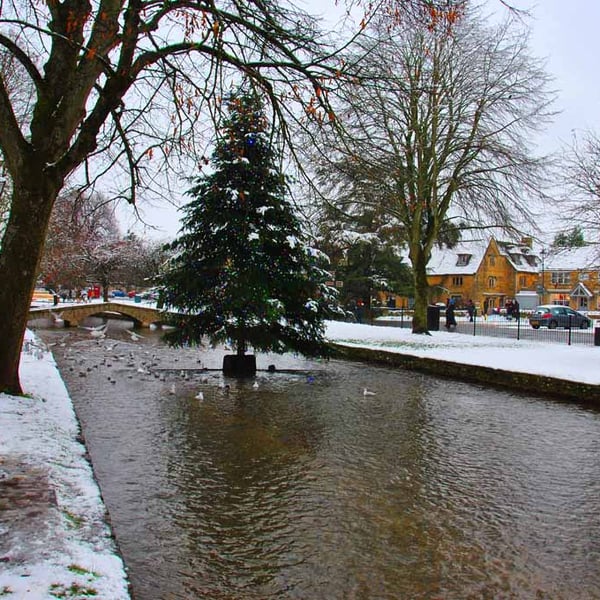 Bourton On The Water Christmas Tree Photograph Print