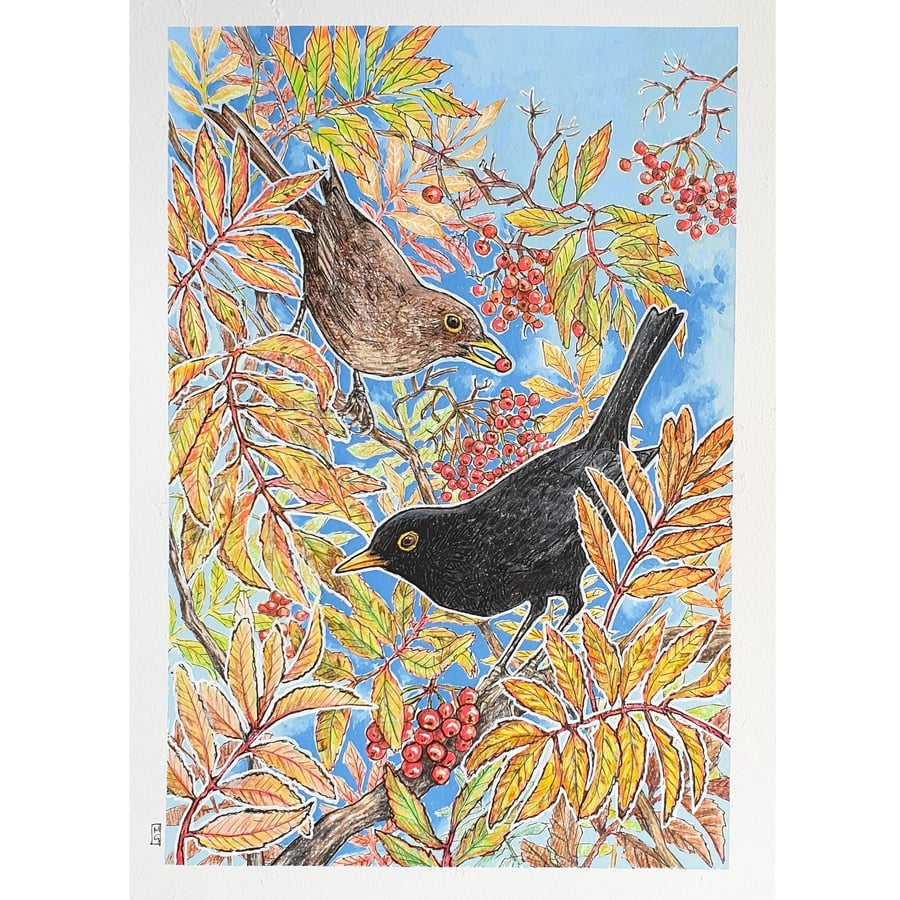 PERFECTLY IMPERFECT - Two Blackbirds in the Rowan original A4 drawing, bird art