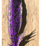 Purple Crow - Image 4