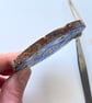 Real Pressed Daisies Hand Painted Wood Slice Hanging Decoration - Image 2