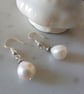 CULTURED PEARL EARRINGS - WEDDING - BRIDE -  PEARL EARRINGS -  FREE UK POSTAGE - Image 4