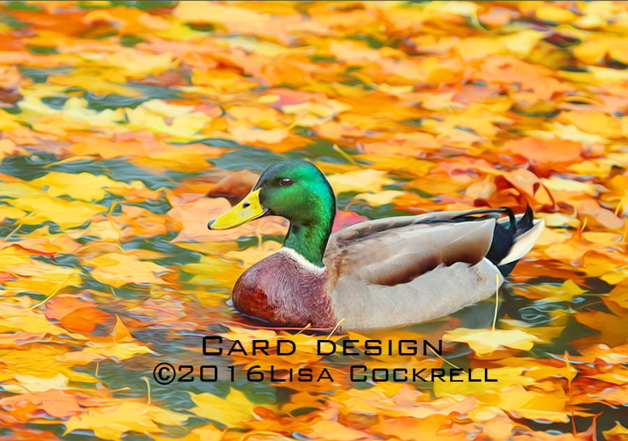 Exclusive Handmade Autumn Duck Greetings Card