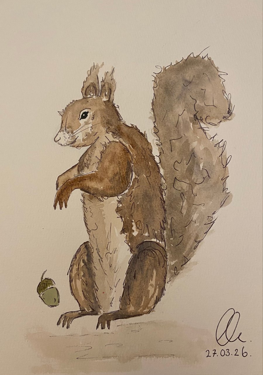 The watched squirrel 