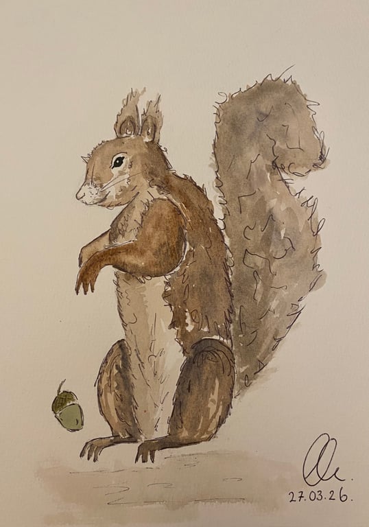 The watched squirrel 